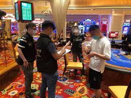 体彩与福彩玩法大对比，选哪种更适合你？-彩票技巧-彩票交流-彩票策略